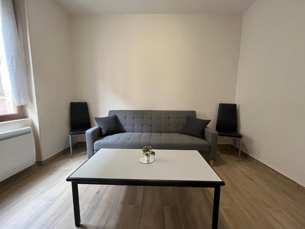 Appartement Renove A 15 Min De Lyon Saint-Fons Buitenkant foto