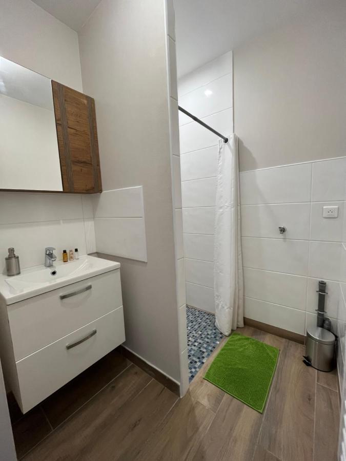 Appartement Renove A 15 Min De Lyon Saint-Fons Buitenkant foto