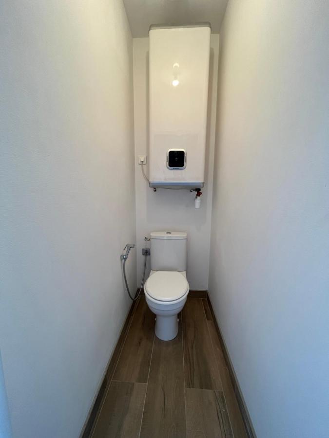 Appartement Renove A 15 Min De Lyon Saint-Fons Buitenkant foto