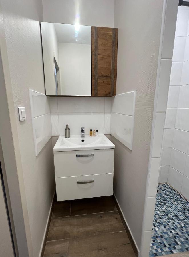 Appartement Renove A 15 Min De Lyon Saint-Fons Buitenkant foto