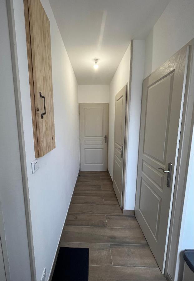 Appartement Renove A 15 Min De Lyon Saint-Fons Buitenkant foto